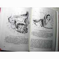 Топоров Клиническая анатомия лица 2005 Строения Системная Региональная клиническая анатоми