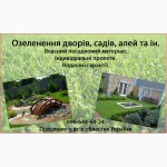 Продам декоративні кущі (самшит, ялівець, туя, барбарис)