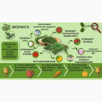 Ерсаг 2014 Ладан Boswellia Serrata суглоби, астма, артрит, псоріаз, хрящ