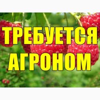 Срочно тpебуетcя Агроном на предприятие