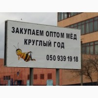 Купим мед от 20 тонн. Цена 30 грн