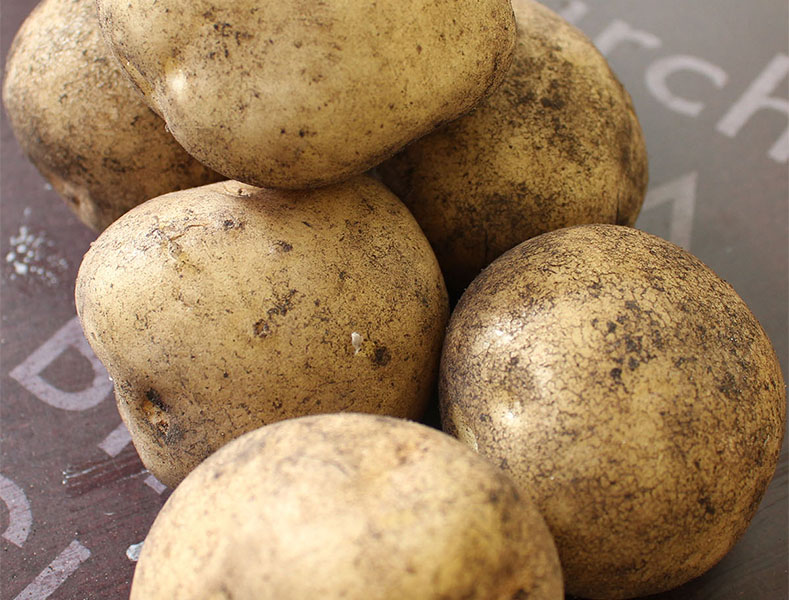 Фото 2. Продается картофель свежий урожая 2020 года из Беларуси