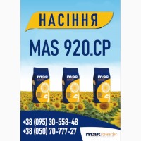 Насіння соняшника Mas Seeds (м.Дніпро)