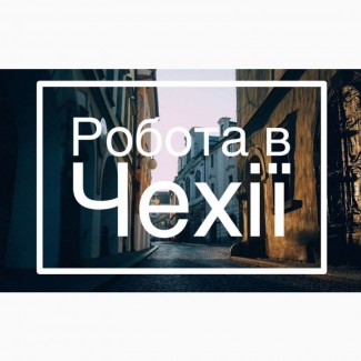 Потрібні чоловіки на роботу на лісоугіддя