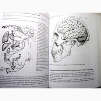 Анатомія центральної нервової системи Чорнокульський 2006 спинний головний мозок органи