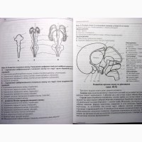 Анатомія центральної нервової системи Чорнокульський 2006 спинний головний мозок органи