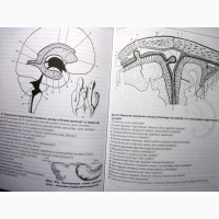 Анатомія центральної нервової системи Чорнокульський 2006 спинний головний мозок органи