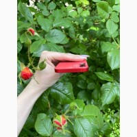 IPhone 12 MINI 128gb RED з гарантією 12 місяців