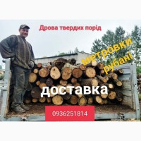 Продаємо дрова твердих порід