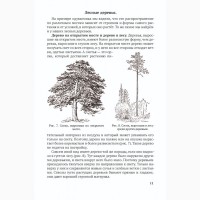 Естествознание. Учебник для 4 класса начальной школы» Тетюрев В.А. 1945