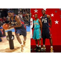 Кросівки колекційні LeBron 4 All-Star Metallic Gold (КР – 477) 50 - 51 розмір