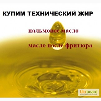 Купим технический жир, животные жиры