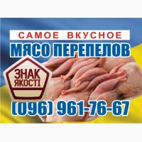 Свежайшее мясо перепелов