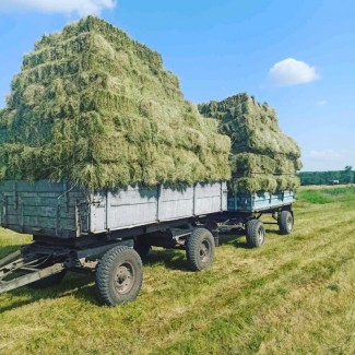 Сіно лугове! Продаж, доставка