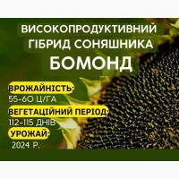 Насіння соняшника Бомонд, під гербіцид Гранстар, 7 рас вовчка, Екстра