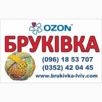 Продаж Бруківки від виробника OZON