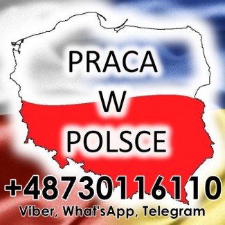 Робота в Польщі, офіційно, для чоловіків та жінок