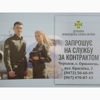 Прикордонна служба, інспектор