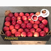 Продажа яблок в асортименте опт! Свое