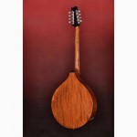 Семья Джеймс Кертис ручной Октав Мандолинная Bouzouki Arch Top Назад