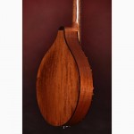 Семья Джеймс Кертис ручной Октав Мандолинная Bouzouki Arch Top Назад