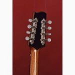 Семья Джеймс Кертис ручной Октав Мандолинная Bouzouki Arch Top Назад