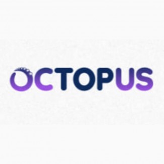 Octopus Agency SEO-просування вашого бізнесу