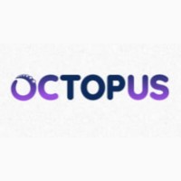 Octopus Agency SEO-просування вашого бізнесу