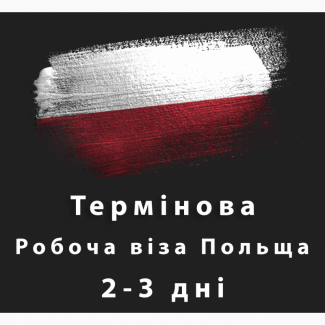 Робоча віза в Польщу, Чехію, Литву, Естонію. Робота в Польщі. Страхування, Запрошення