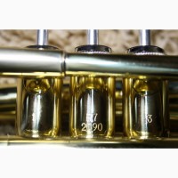 Абсолютно Нова EASTROCK Труба Cornet кишенькова карманна міні Pocket Trumpet