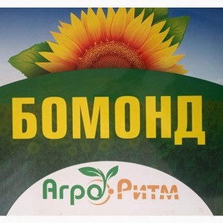 Посівний матеріал соняшника Бомонд, гранстаростійкий, 7 рас вовчка, Стандарт