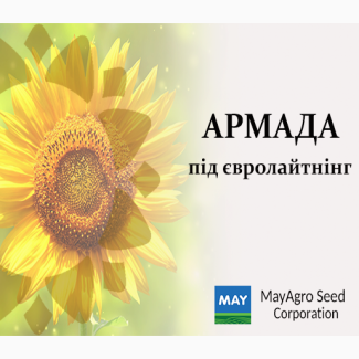 Насіння соняшнику гібрид Армада (Турція) гібриди виробництва «MAY AGRO SEED (Мей Агро)»