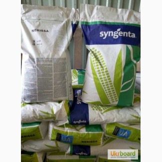 Посівний матеріал кукурудза Нерісса Syngenta