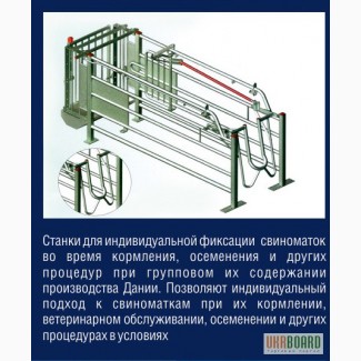 Оборудование для свиноферм