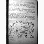 Дьюсбери Поведение животных Сравнительные аспекты 1981 генетика, эволюция поведения, генот