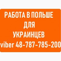 Работа в ПОЛЬШЕ для украинцев. Вакансии в ПОЛЬШЕ без посредников. Как выбрать агентство