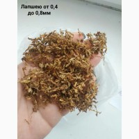 Табак «Мериленд» (Maryland Tobacco)