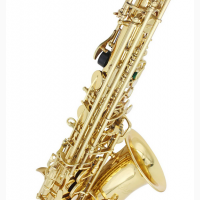 Абсолютно Нові Саксофони saxophone Альт Alto Slade Designed By Usa золото труба