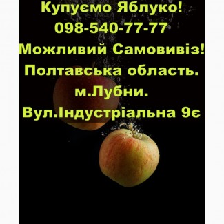 Підприємство на постійній основі закуповує яблуко за високими цінами