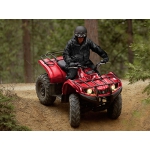 Квадроцикл Yamaha(Ямаха) Grizzly -350 4WD Харьков