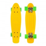 Скейтбордскейт Penny Board Пенни борд 6 цветов