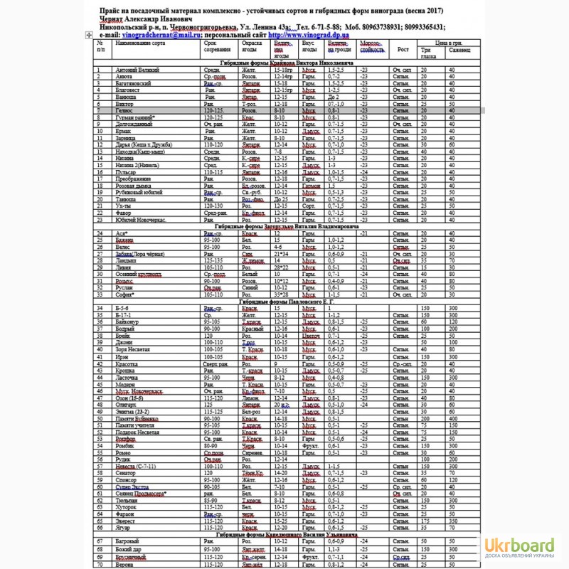 Прайс лист саженцев. Прайс-лист посадочный материал. Прайс лист винограда. Вишневка Беловский район Плодопитомник прайс-лист. Совхоз Вишневский Белово прайс-лист.