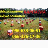 Продаются вулики, рамки, бджоли.Розпродаж