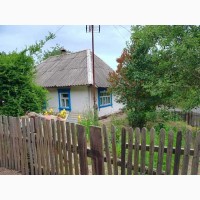 Продаж 3-к будинок Обухівський, Васильків, 18000 $