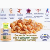 Эрсаг 2018 Экстракт Моринги кожа, гемоглобин, зрение, давление, диабет, астма, кости