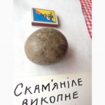 Скамяніле викопне яйце