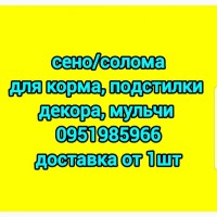 Предлагаю сено отличного качества. Бесплатная доставка, продажа поштучно и оптом