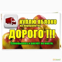 Куплю Яблоко на переработку, дорого