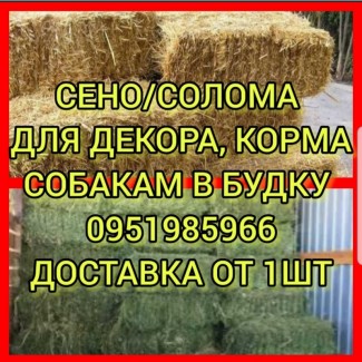 Продажа сена различных видов с доставкой по Украине. Производитель