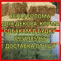 Продажа сена различных видов с доставкой по Украине. Производитель